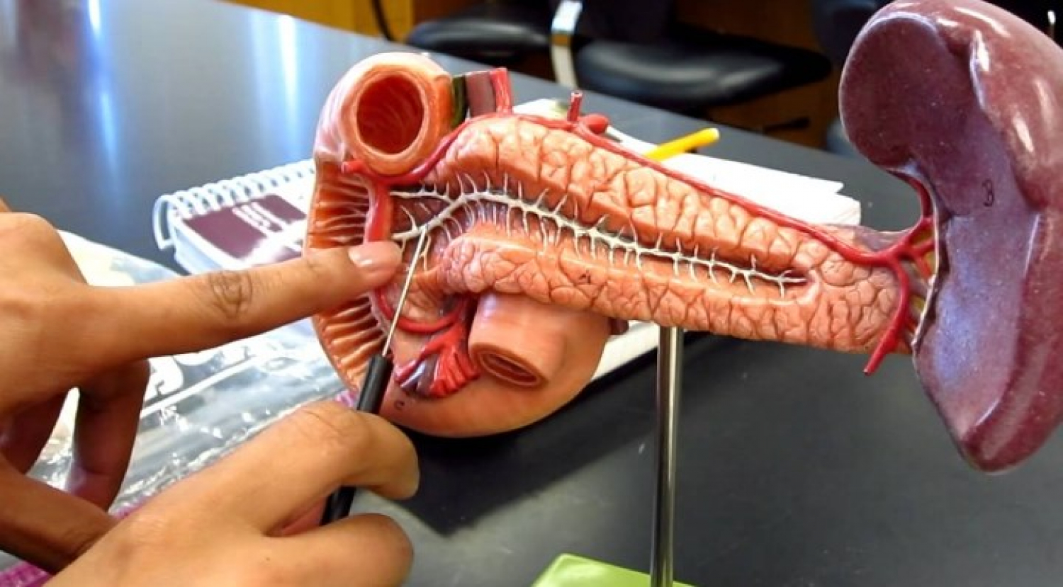 Що лікує гастроенетролог?